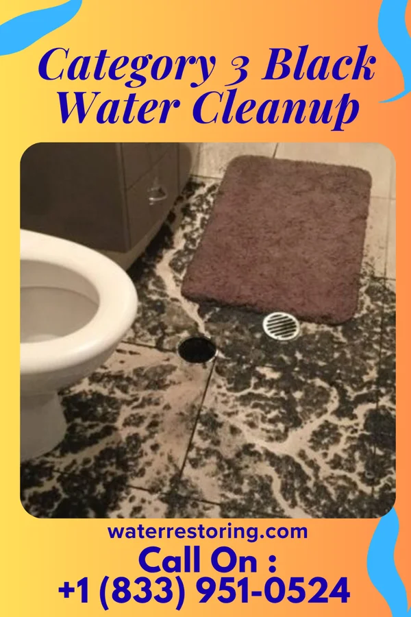 Category 3 Black Water Cleanup in Oneida Castle, NY
