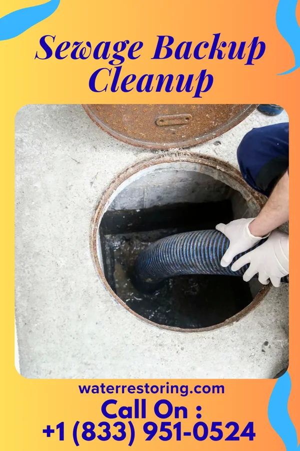 Sewage Backup Cleanup in Oneida Castle, NY